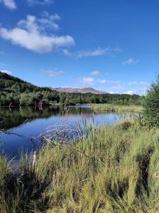 a small lake with grass and trees in the background at Chez Philopin in Saint-Pierre-Colamine +55 photos
