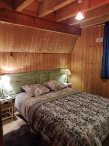 1 dormitorio con 1 cama en una habitación con paredes de madera en Chez Philopin, en Saint-Pierre-Colamine