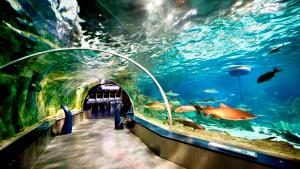 an aquarium tunnel with fish in the water at Crowne Plaza Florya Istanbul by IHG in Istanbul