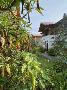 Zahrada ubytování Hostal el Vaquero