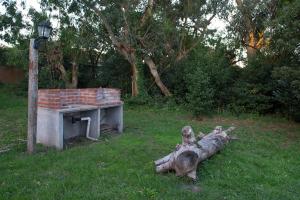 a tree branch laying in the grass next to a table and a log at Casa Isabela in Santa Clara del Mar +5 photos