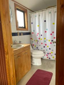 een badkamer met een toilet en een douchegordijn bij Cabañas Camahueto in Chonchi