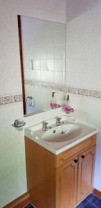 een badkamer met een wastafel en een spiegel bij Hilltop Cottage/ Penrhiw in Maentwrog