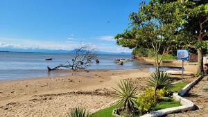 a beach with trees and boats in the water at Espaço Zoey in Búzios
