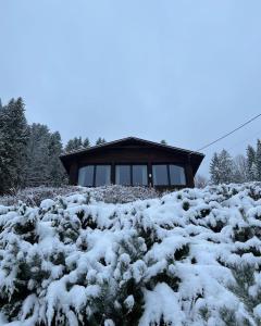 a building covered in snow in front of some bushes at Karolinka Guest House in Szczyrk