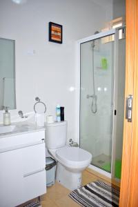 a bathroom with a toilet and a glass shower at Taninho in Santa Maria