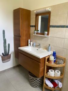 bagno con lavandino, specchio e cactus di Kayna a Sainte-Luce