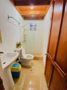 łazienka z toaletą i umywalką w obiekcie Primavera en Jarabacoa-contacto con la naturaleza w mieście Jarabacoa