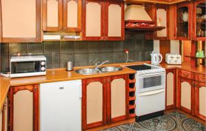 a kitchen with a sink and a microwave at Stunning Home In Lidzbark Warminski With House Sea View in Lidzbark Warmiński