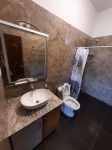 a bathroom with a sink and a toilet and a mirror at Orchard Valley View Home Stay in Ooty