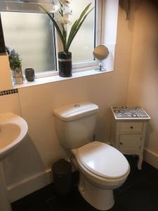 a bathroom with a toilet and a sink and a window at Herb Garden Bungalow in Nazeing