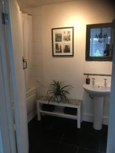 a bathroom with a sink and a plant in it at Herb Garden Bungalow in Nazeing