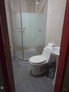 een badkamer met een douche, een toilet en een wastafel bij Apartamento en pto Montt in Puerto Montt