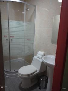 een badkamer met een toilet, een wastafel en een douche bij Apartamento en pto Montt in Puerto Montt