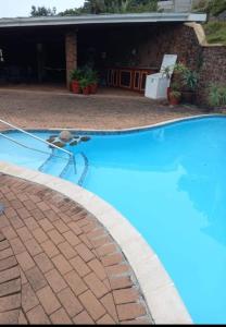 une grande piscine bleue avec une allée en briques dans l'établissement Villa del Sol Margate, à Margate