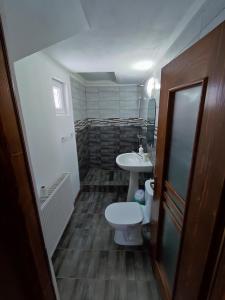 a bathroom with a toilet and a sink at Casa Daiana - Toplița in Topliţa