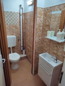 a bathroom with a toilet and a sink and a shower at Casa Daiana - Toplița in Topliţa