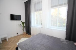 1 dormitorio con 1 cama, TV y 2 ventanas en Apartament Przytulny, en Szczawno-Zdrój
