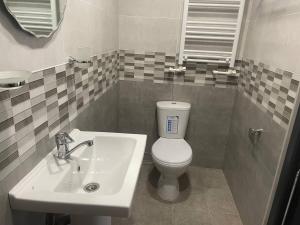La salle de bains est pourvue de toilettes blanches et d'un lavabo. dans l'établissement Ankyun, à Gyumri