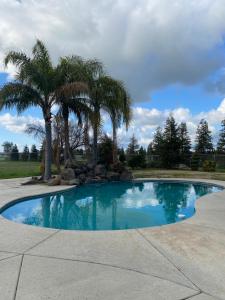 una piscina con palmeras en un parque en Beautiful peaceful desirable home in Madera Rancho, en Madera