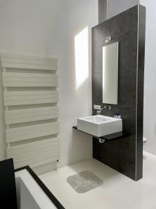 uma casa de banho com um lavatório e um espelho em Luxurious villa during tomorrowland em Hemiksem