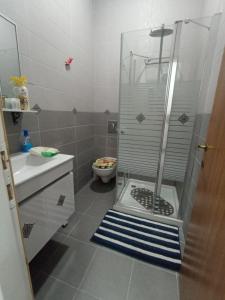 a bathroom with a shower and a sink and a toilet at EMAN SWEET HOME - cozy privet unique apartment in haifa downtown in Haifa
