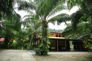 eine Palme vor einem Gebäude in der Unterkunft Palm Kaew Resort Krabi in Krabi