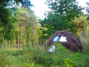 Příroda nedaleko luxury tent