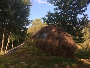 Příroda nedaleko luxury tent
