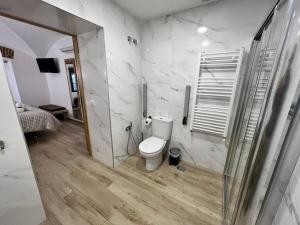 a bathroom with a toilet and a walk in shower at Casa rural Maila in Malpartida de Cáceres +37 photos