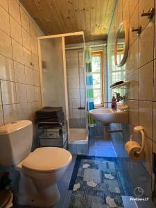 a bathroom with a toilet and a sink at Resort by Nava Lake in Aukštadvaris +29 photos