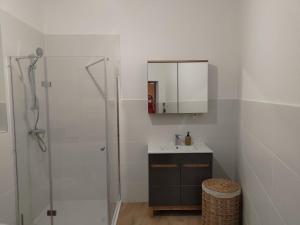 W łazience znajduje się umywalka oraz prysznic z lustrem. w obiekcie Prad 543 w Poznaniu