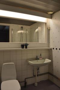 a bathroom with a sink and a mirror and a toilet at 14-Nasjonalpark, sykling, fisking, kanopadling, skogs- og fjellturer in Trysil