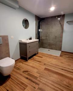 a bathroom with a toilet and a sink and a shower at Les chambres de la fontaine de brul in Sainte-Ode