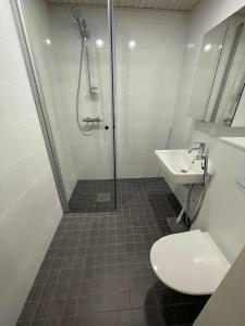 a bathroom with a shower and a toilet and a sink at Snow Queen's residence in Rovaniemi