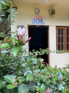 Zahrada ubytování Hello Super Hostel
