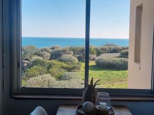 a view of the ocean from a window with a pineapple at Agde : Appartement 2 chambres au bord des falaises in Cap d'Agde