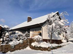 una casa cubierta de nieve con un árbol en Nickel Haus en Edenkoben