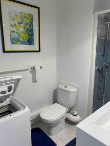 Vannituba majutusasutuses Studio dans résidence piscine 500m de la plage 2**