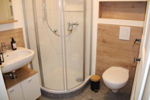 a bathroom with a shower and a toilet and a sink at Ferienwohnung - Zur alten Wirtsstube in Unterleichtersbach
