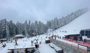 a group of people on a ski slope in the snow at Hotel Forest Star on the Ski Slope in Borovets