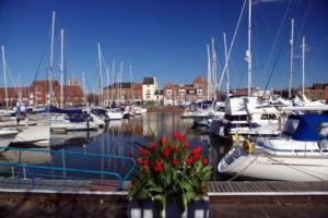 a bunch of boats docked in a marina with red flowers at Cosy 3-bed house in Hull