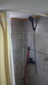 a mop in a bathroom with a shower at CABAÑAS COPITL in Tanti