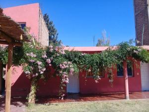 Κήπος έξω από το HOTEL FINCA AMANCAY