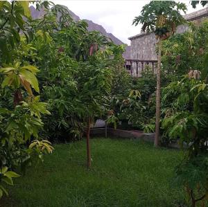 Fotografie z fotogalerie ubytování Sunrise Farm استراحة مطلع الشمس v destinaci Hatta