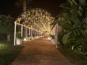 un camino con un montón de luces y plantas en Hotel Lafayette, en Giovinazzo