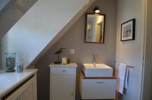 a bathroom with a sink and a mirror at Deichhof - Whg3 in Dunsum