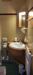 a bathroom with a sink and a toilet at Pension Fellis in Vols am Schlern