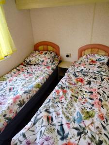 two beds sitting next to each other in a room at domek holenderski in Kołczewo