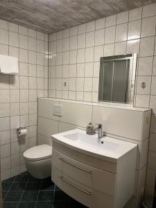 Altes Gasthaus Leuna Pension في Leuna: حمام مع مرحاض ومغسلة ومرآة